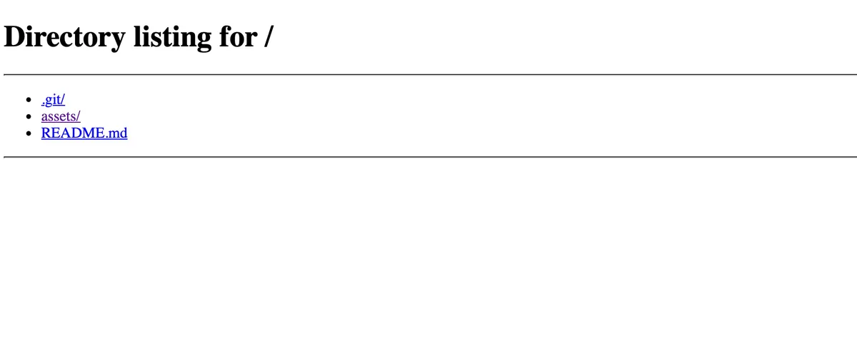 First website screenshot