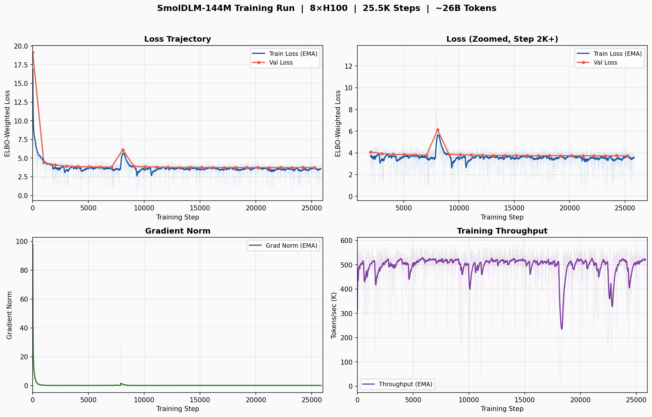 SmolDLM-144M Training Run